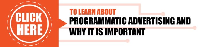 Top Programmatic Advertising Tools to Improve Brands